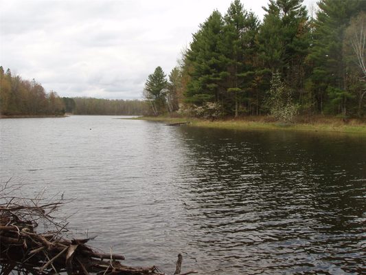N16473 Patterson Lake Road Park Falls WI 54552