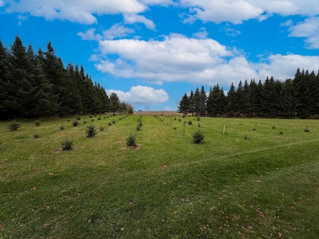 789 29 1/2 Avenue, Barronett WI 54813 - Land house for sale - MLS #1606193 - image10