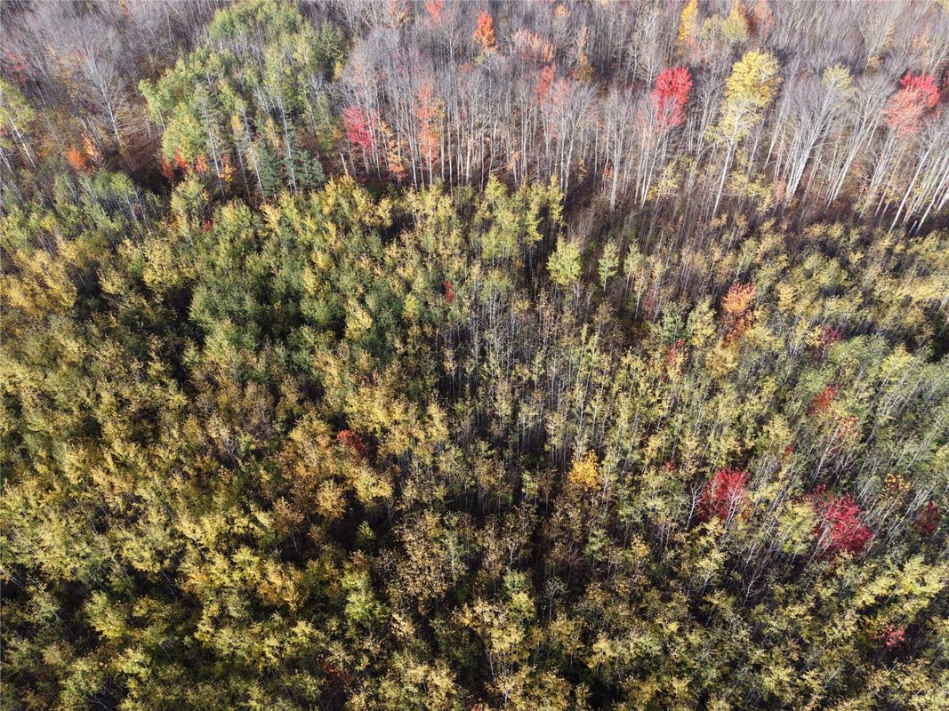 On County Highway W, Winter WI 54896 - Land house for sale - MLS #1605419 - image10