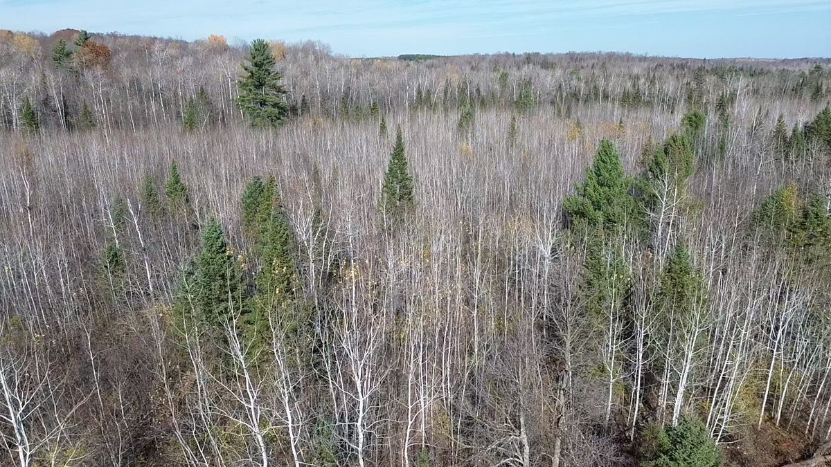 123XX W Jos R Chafer Road, Couderay WI 54828 - Land house for sale - MLS #1606292 - image11
