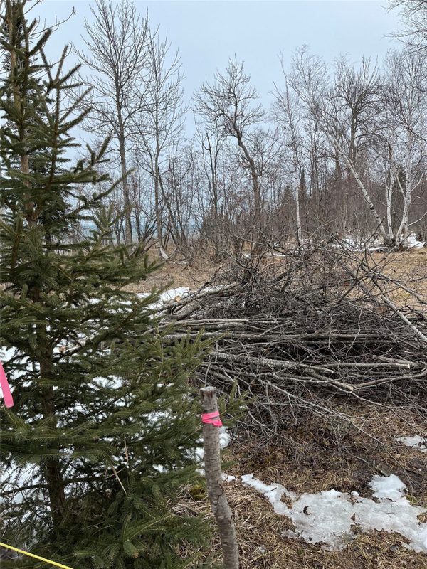 10427 Devries Road, Poplar WI 54864 - Land house for sale - MLS #1599941 - image15