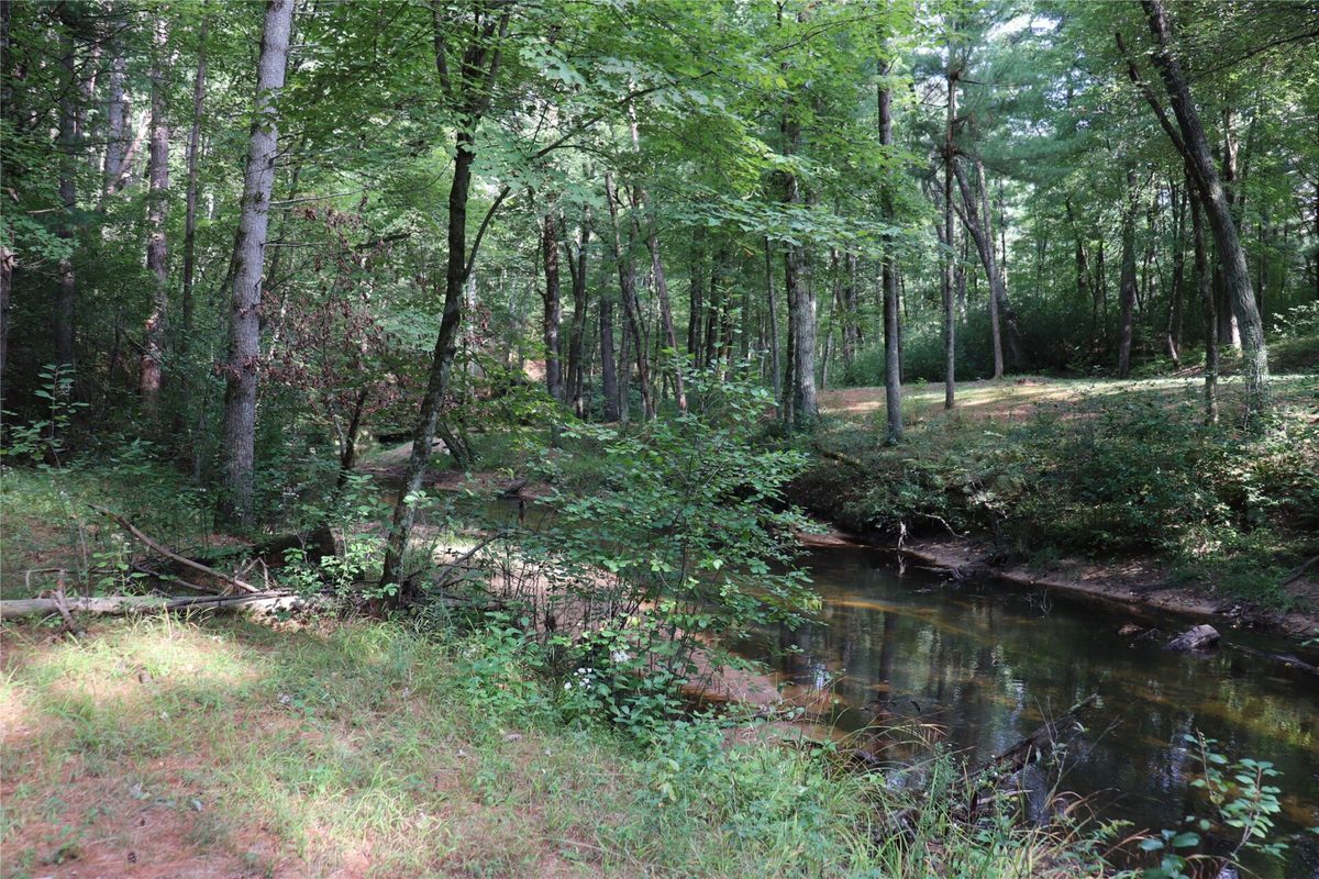 W10289 Paulley Road, Black River Falls WI 54615 - Residential house for sale - MLS #1604591 - image47