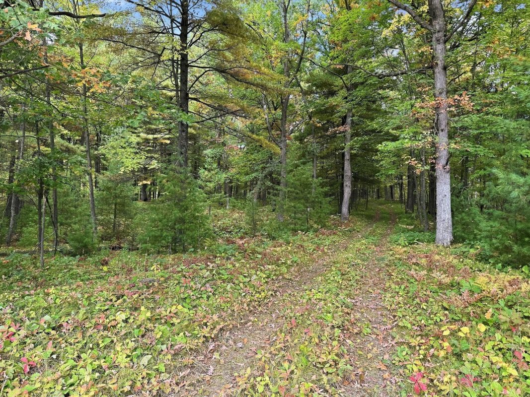 27937 County Road A, Spooner WI 54801 - Residential house for sale - MLS #1605514 - image58