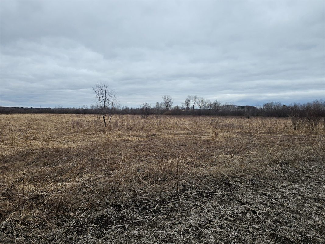 XXX 994th Avenue Boyceville WI 54725 — photo 11