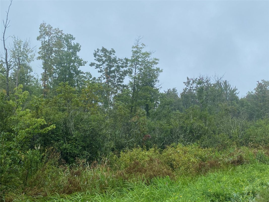 ON Pennington Road, Prentice WI 54556 - Land house for sale - MLS #1599132 - image7