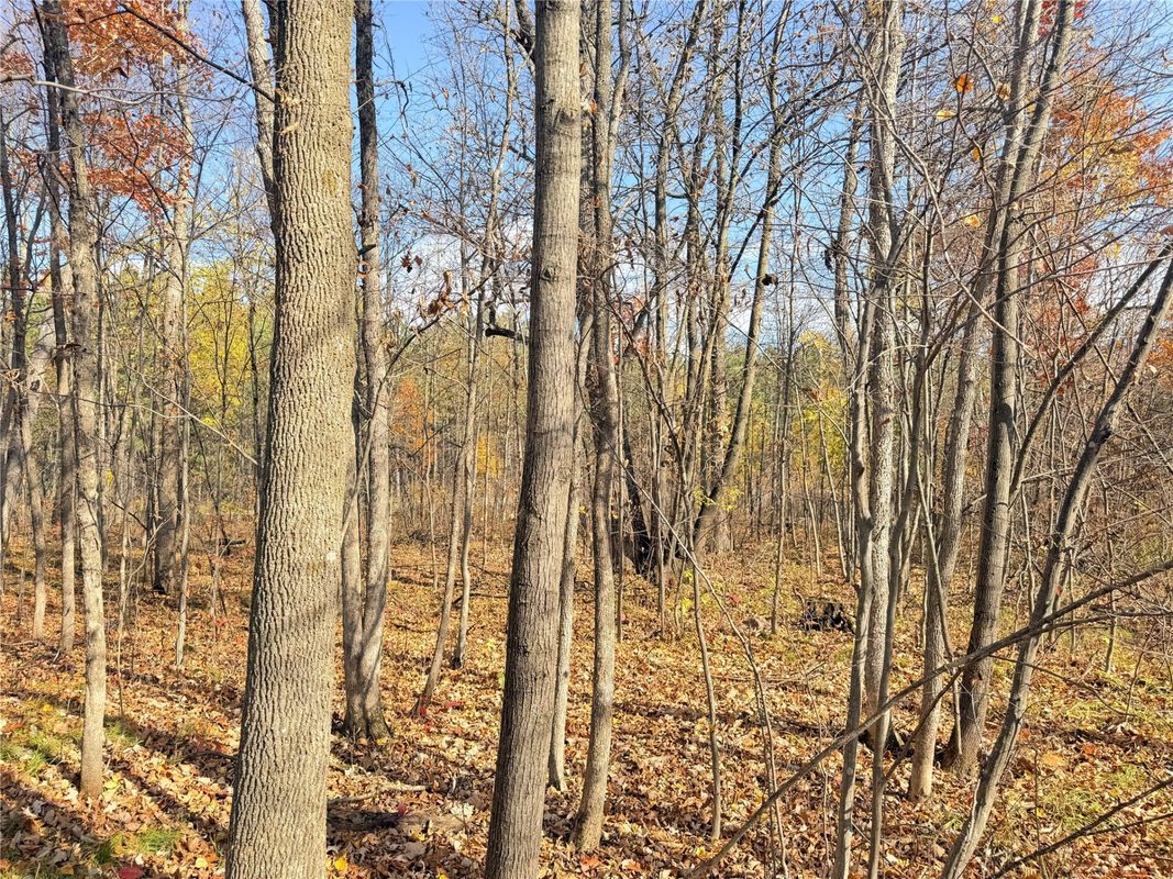 0 County Highway C, Rice Lake WI 54868 - Land house for sale - MLS #1605929 - image16