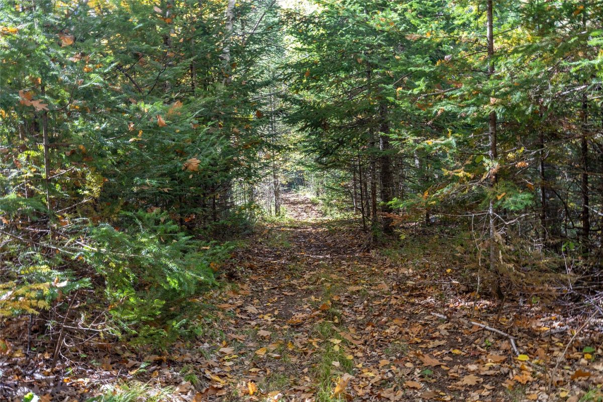 W5957 Happy Acres Road Tony WI 54563 - image36