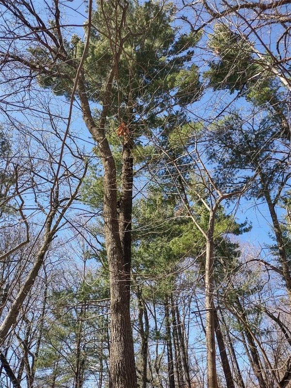 Residential at Lot 18 N4XX 297th Street, Eau Galle, WI 54737 — photo 16