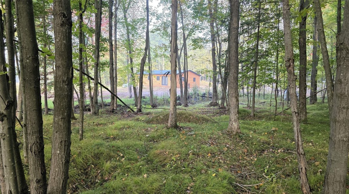 N 3368 Sawdust Rd., Bruce WI 54819 - Residential house for sale - MLS #1605552 - image21