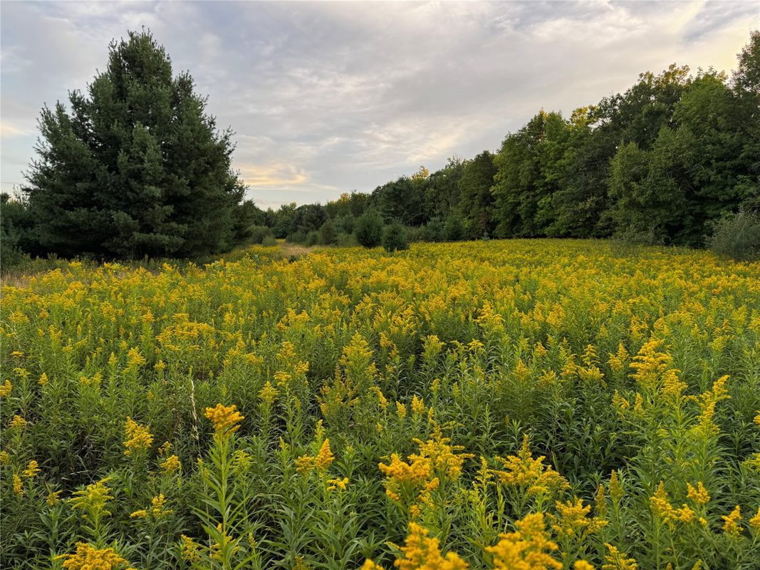 xxx 340th Avenue, Lewis WI 54837 - Land house for sale - MLS #1604783 - image25