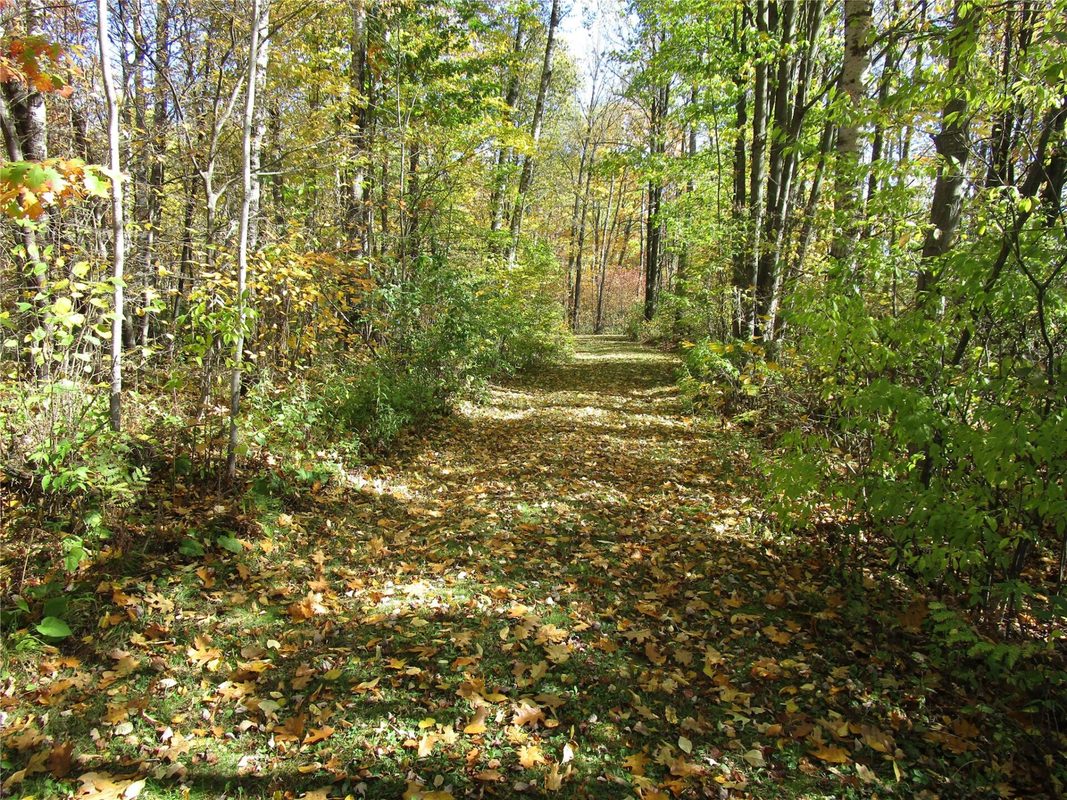 N7110 Hackett Road, Hawkins WI 54530 - Land house for sale - MLS #1600843 - image11