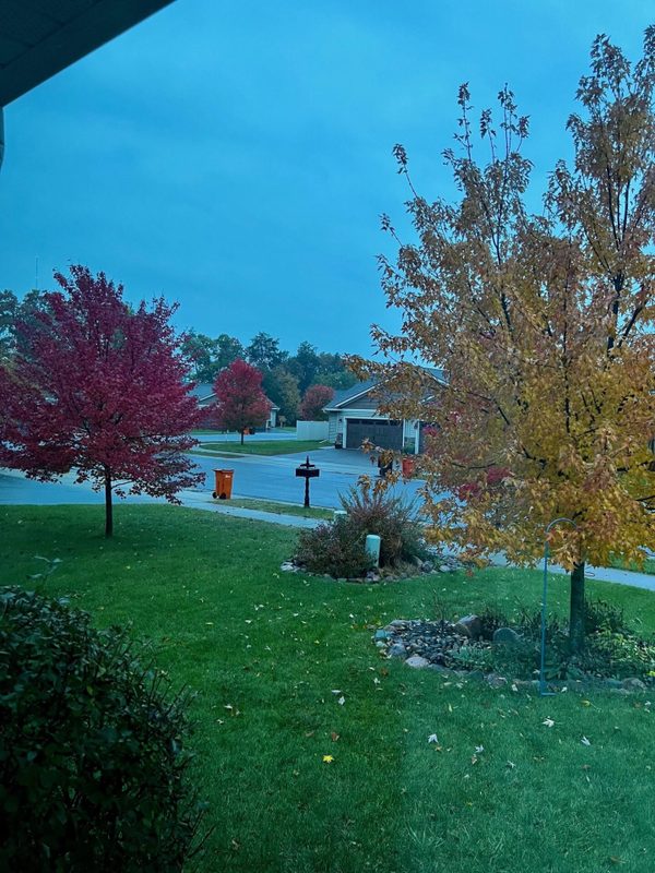 617 Blue Karner Drive, Altoona, WI — photo 57