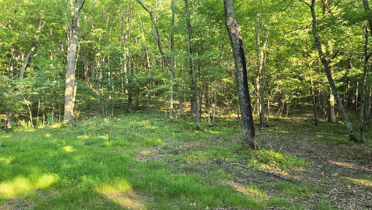 W02 State Highway 64, Colfax WI 54730 - Land house for sale - MLS #1604529 - image26