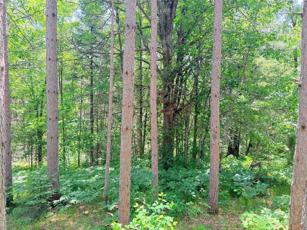 W11097 Boat Landing Road, Ladysmith WI 54848 - Land house for sale - MLS #1605411 - image13