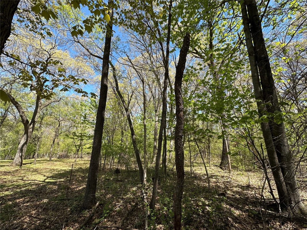 1438 Pleasant Hill Road, Eau Claire WI 54703 - Land house for sale - MLS #1602766 - image39