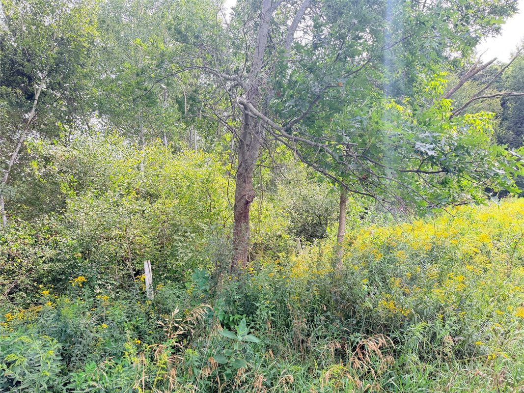10 Acres Lot 4 230th Street, St Croix Falls WI 54024 - Land house for sale - MLS #1606210 - image12