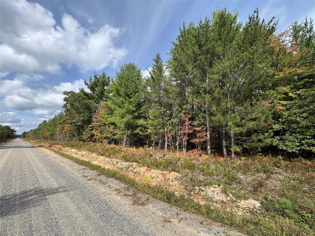 W4199 Ballard Road, Neillsville WI 54456 - Land house for sale - MLS #1605652 - image27
