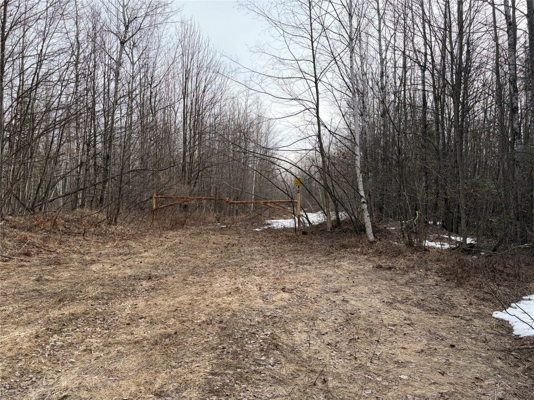 ON County Highway B, Winter WI 54896 - Land house for sale - MLS #1599277 - image3