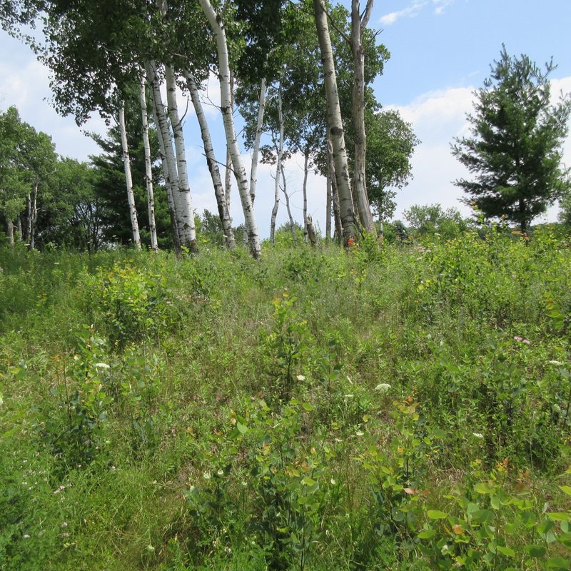 Lot 13 516th Street, Menomonie WI 54751 - Land house for sale - MLS #1603467 - image2