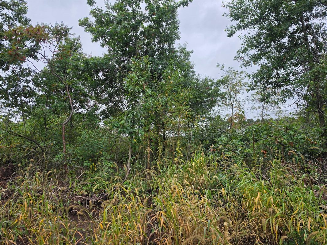 Lot 6 370th Ave Avenue, Elk Mound WI 54739 - Land house for sale - MLS #1605278 - image5