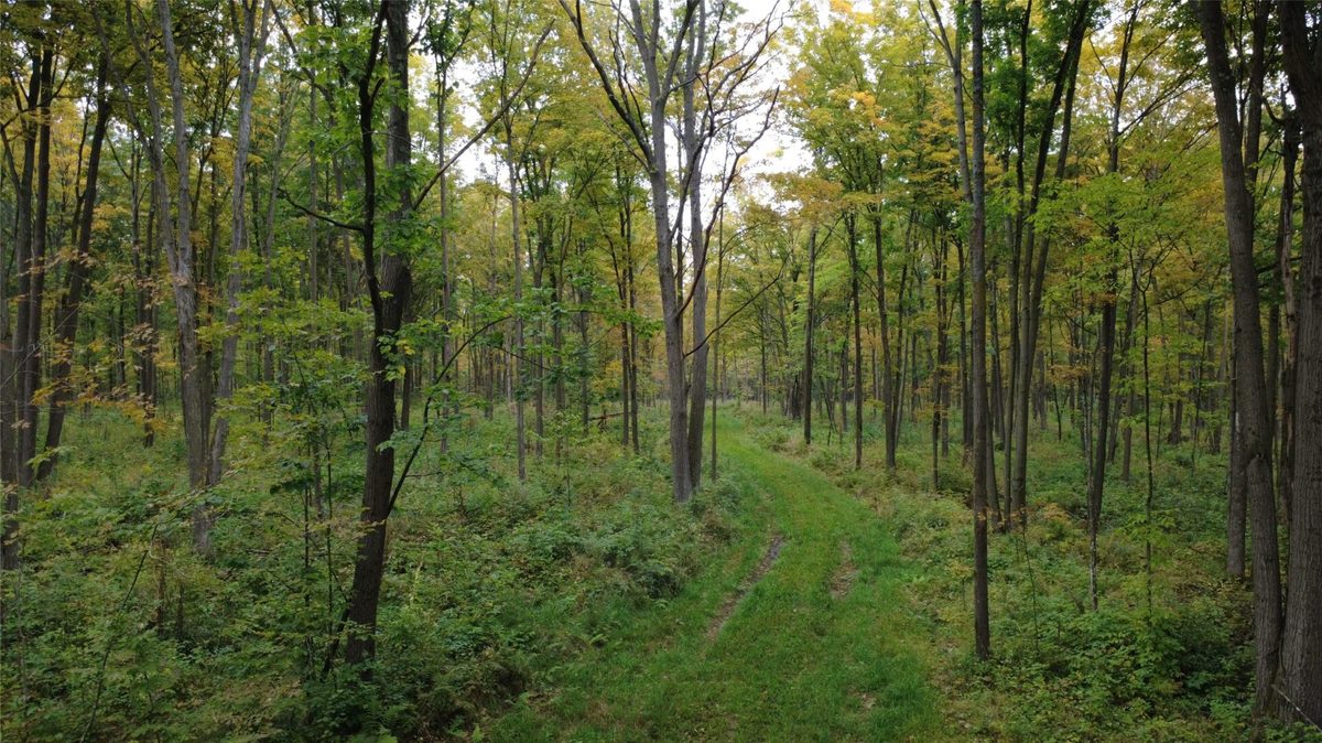 000 Nehrbass Road, Athens, WI — photo 11