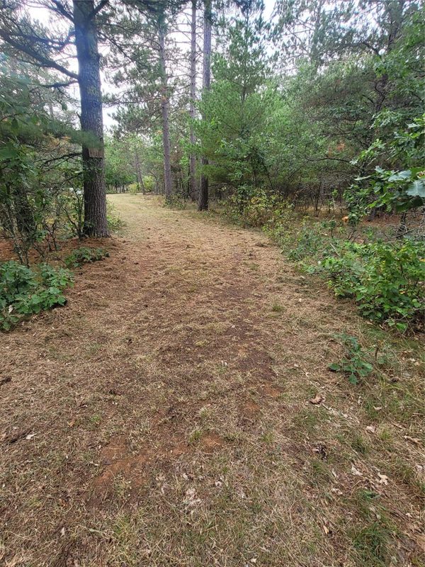 0 Blueberry Rd, Gordon WI 54838 - Land house for sale - MLS #1604990 - image7