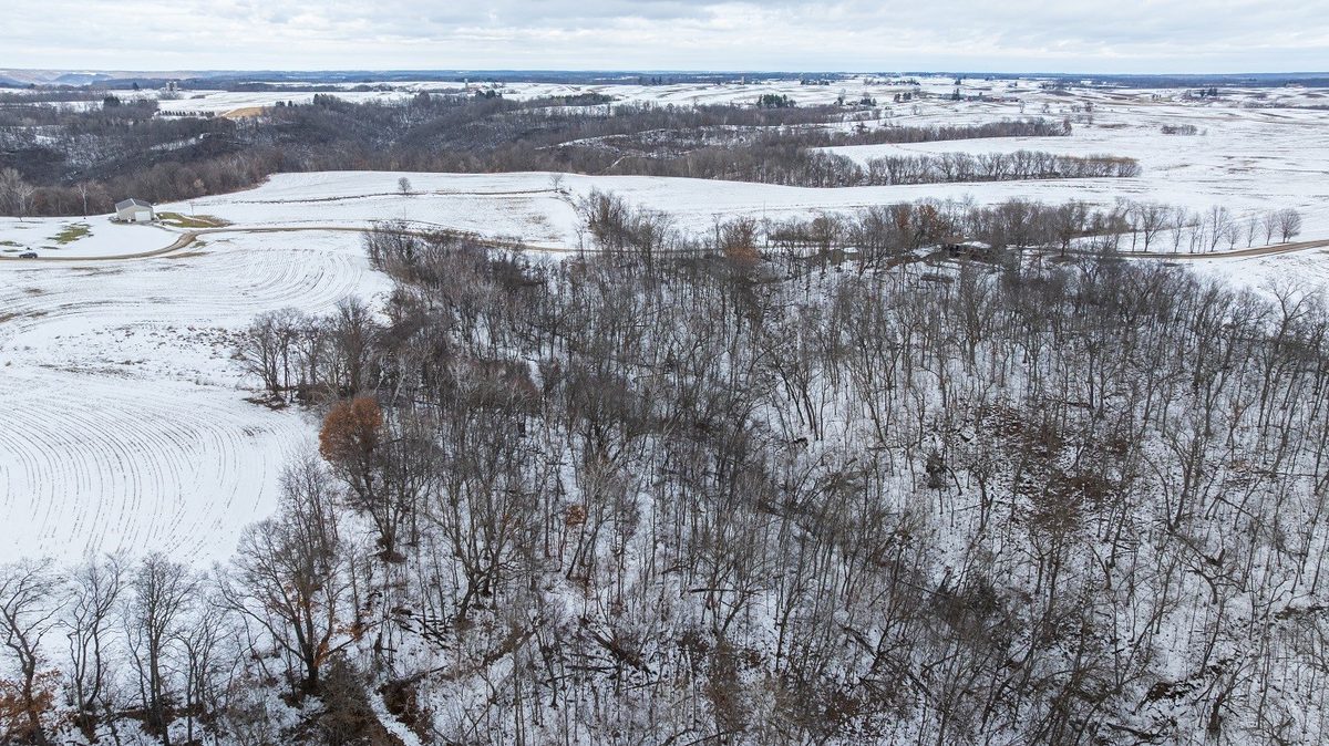 0 Maplewood Lane Alma WI 54610 — photo 11