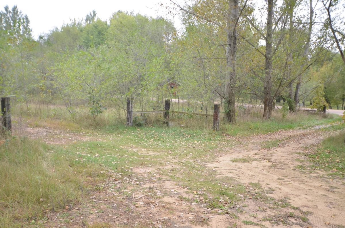 N47414 County Road Y, Eleva WI 54738 - Residential house for sale - MLS #1605721 - image16