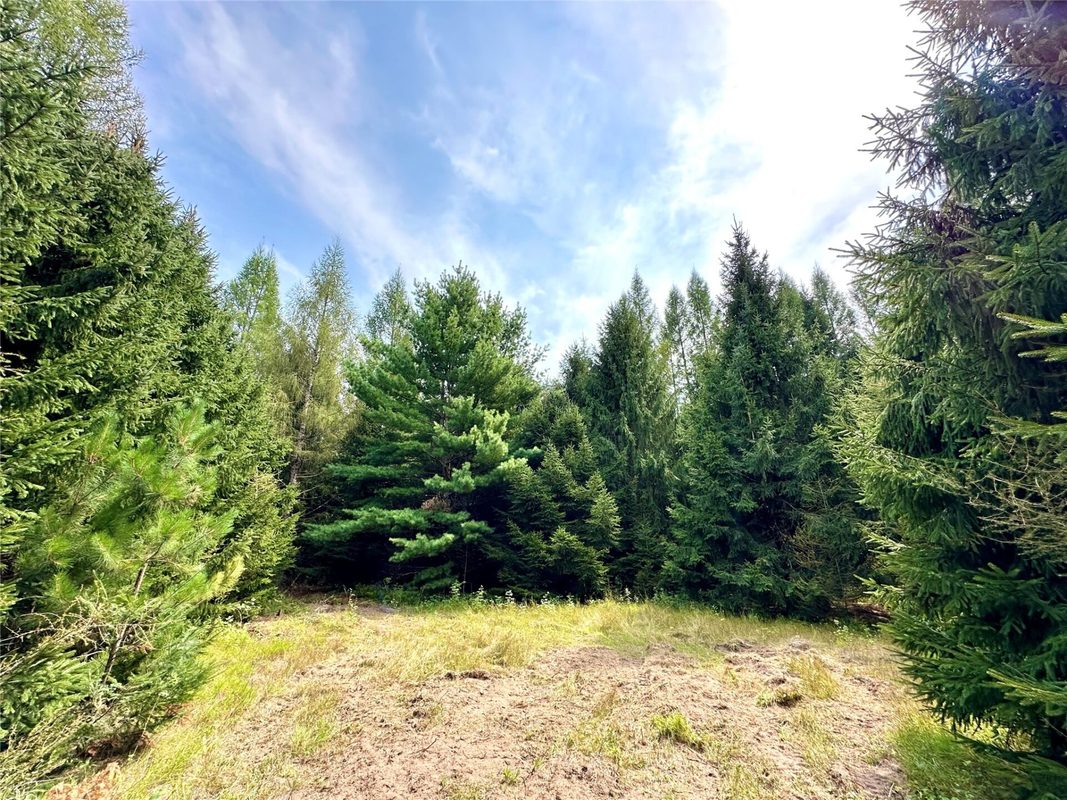 N9679 630th Street, Colfax WI 54730 - Land house for sale - MLS #1604625 - image7