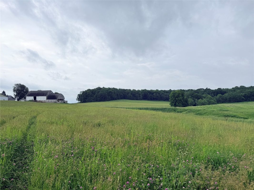 0 Grandview Drive, Fall Creek WI 54727 - Land house for sale - MLS #1603307 - image10