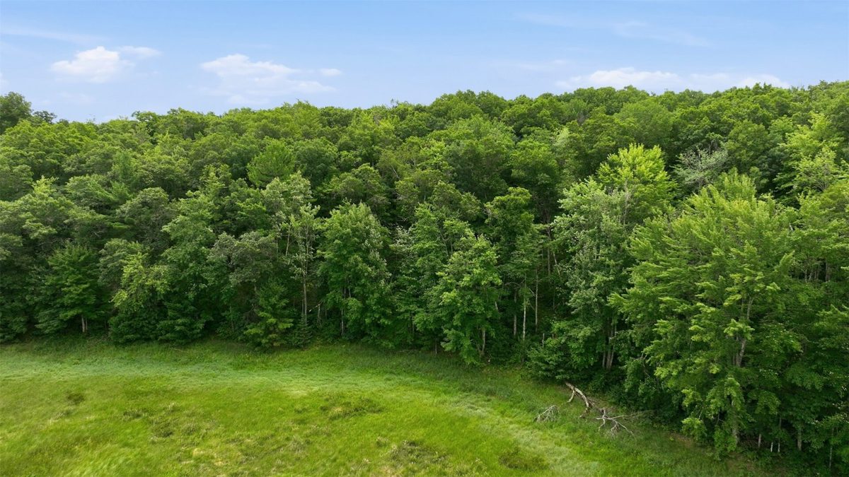 0 Goose Lake, Spooner WI 54801 - Land house for sale - MLS #1603400 - image11