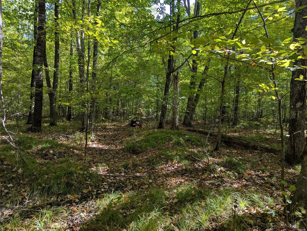 Lot 17 Rabbit Run, Ojibwa WI 54862 - Land house for sale - MLS #1605249 - image4