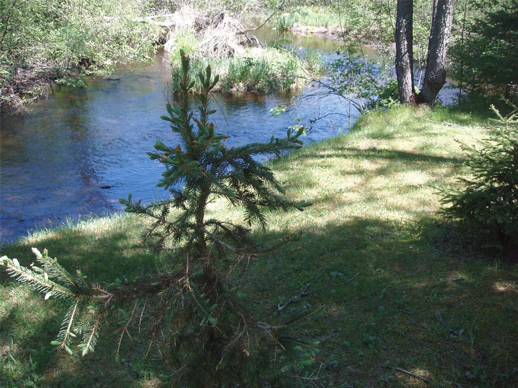W9798 Fleming Road, Park Falls WI 54552 - Residential house for sale - MLS #1600486 - image54