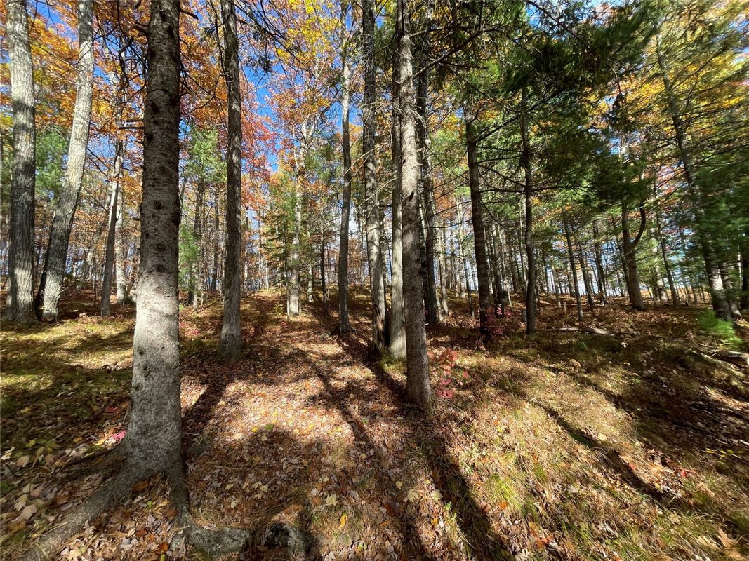 7 W Tanager Trail, Hayward, WI — photo 21