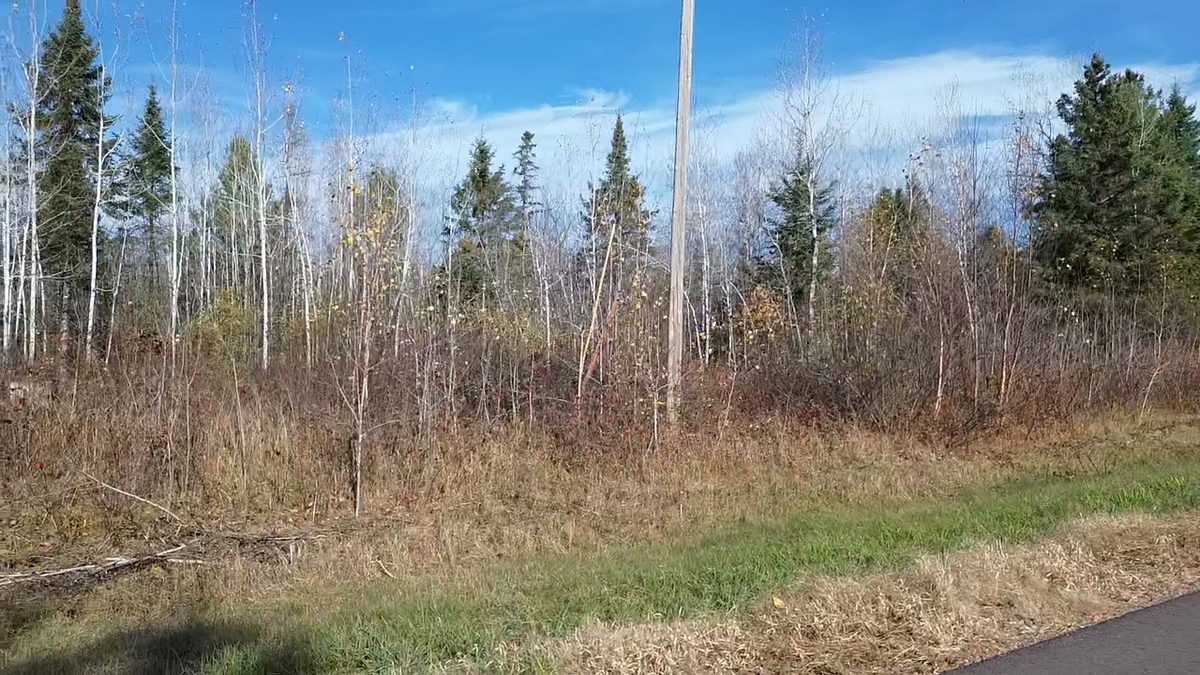 123XX W Jos R Chafer Road, Couderay WI 54828 - Land house for sale - MLS #1606292 - image17