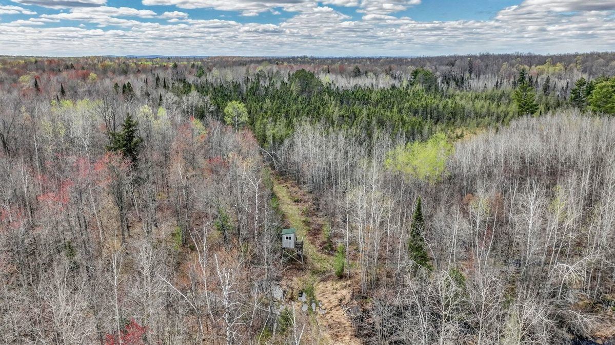 W6283 County Road I, Ladysmith, WI — photo 13
