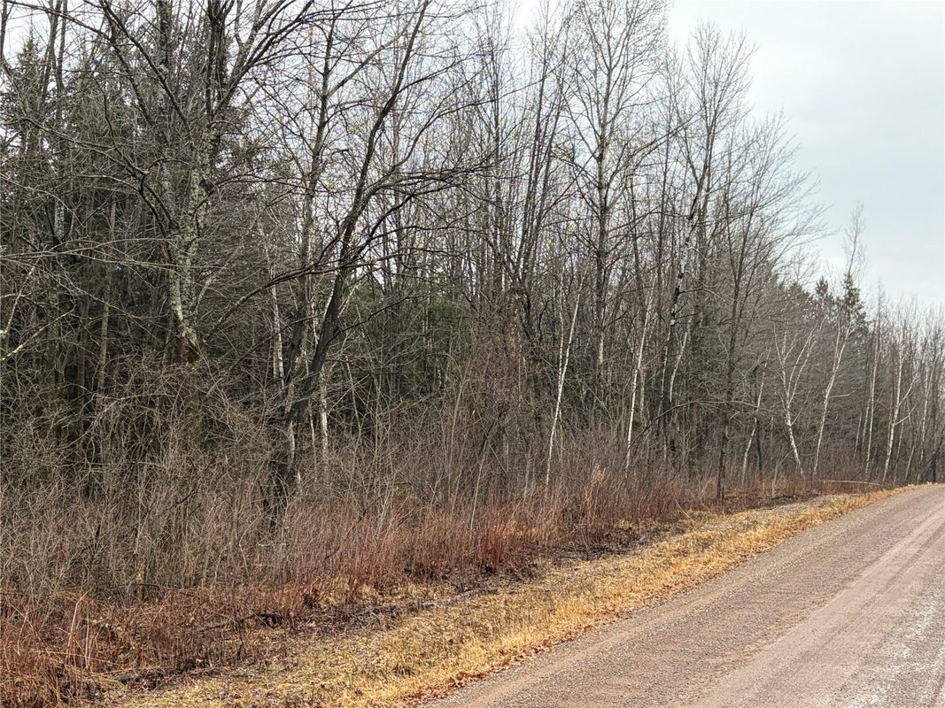 ON Sheep Camp Road Ladysmith WI 54848 — photo 4