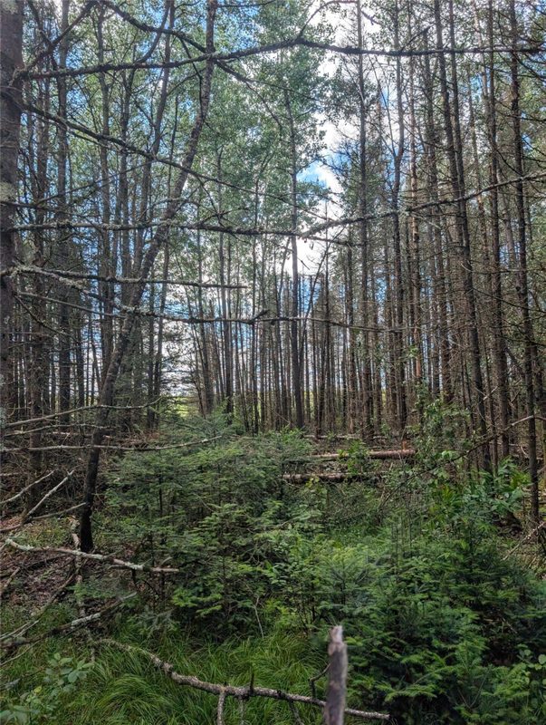 Lot 4 Main Road, Springbrook WI 54875 - Land house for sale - MLS #1602445 - image15
