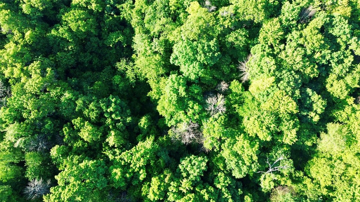 15.01 Acres 160th Avenue, Maiden Rock WI 54750 - Land house for sale - MLS #1604580 - image26