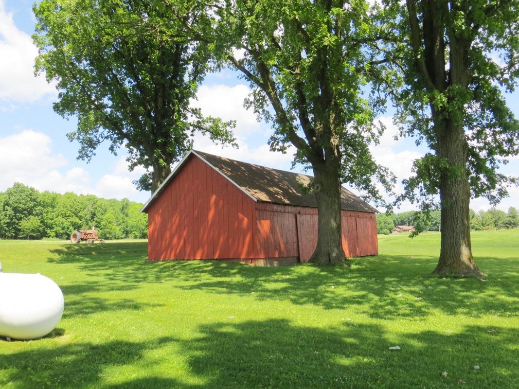 19265 350th Street, Stanley WI 54768 - Residential house for sale - MLS #1602944 - image5