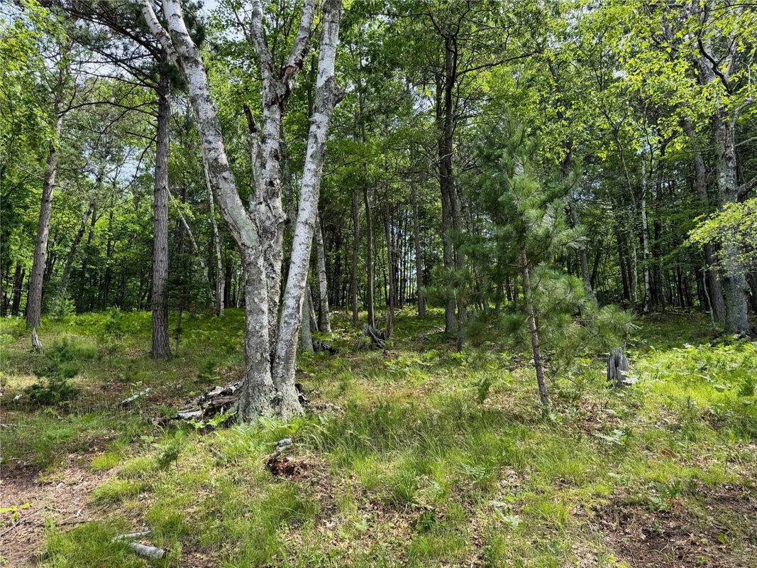 11149 Merganser Lane, Hayward WI 54843 - Land house for sale - MLS #1604672 - image36