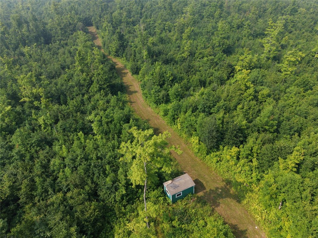 On County Road H, Radisson WI 54867 - Land house for sale - MLS #1603350 - image7