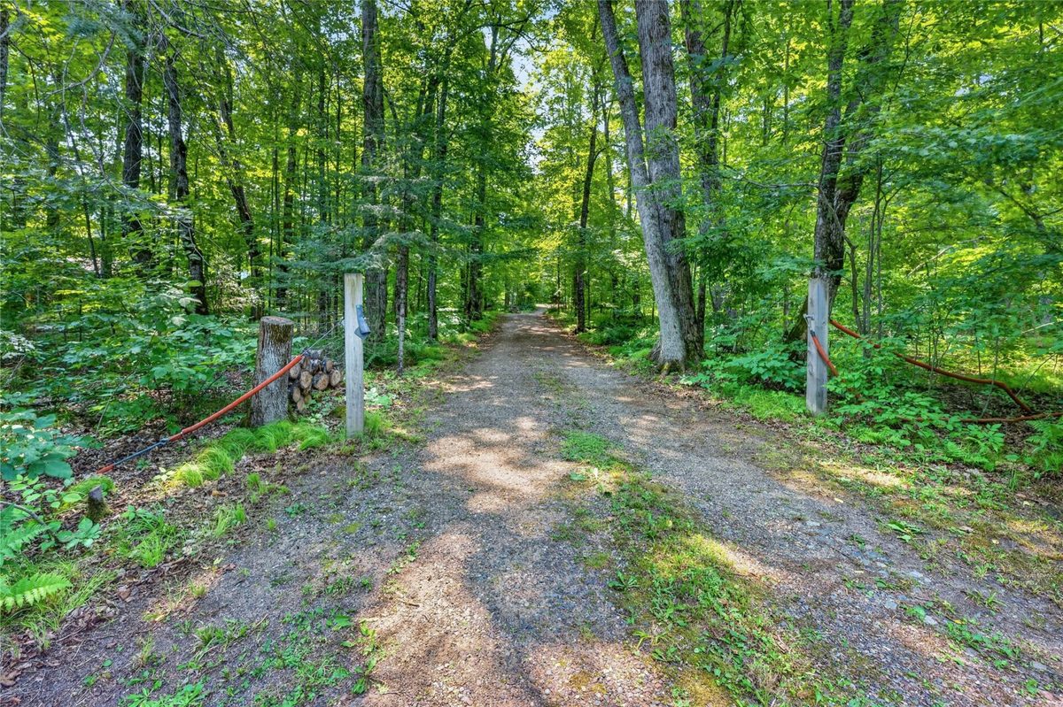 6925W Hemlock Haven Road, Winter WI 54896 - Land house for sale - MLS #1603697 - image32
