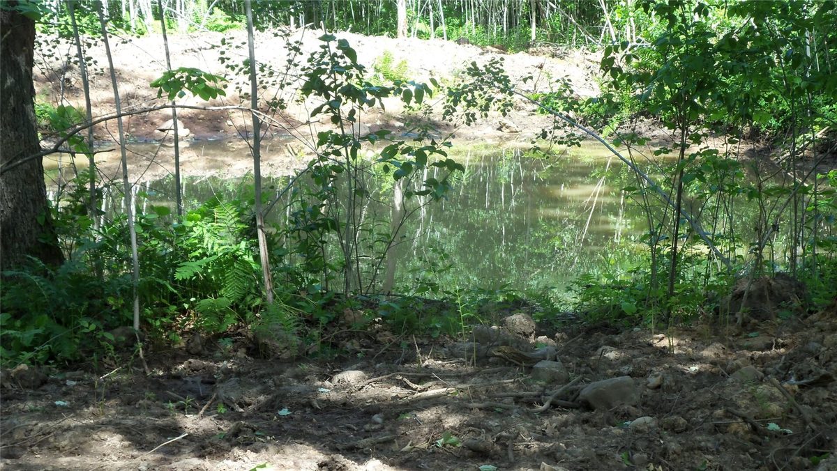 XXX Bashaw Store Road, Shell Lake WI 54871 - Land house for sale - MLS #1603494 - image10