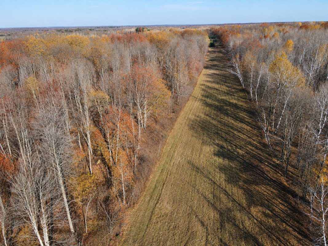 TBD Fedyn Road, Ladysmith WI 54848 - Land house for sale - MLS #1606244 - image16