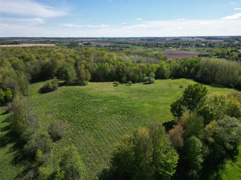 56.889 acres Shale Avenue