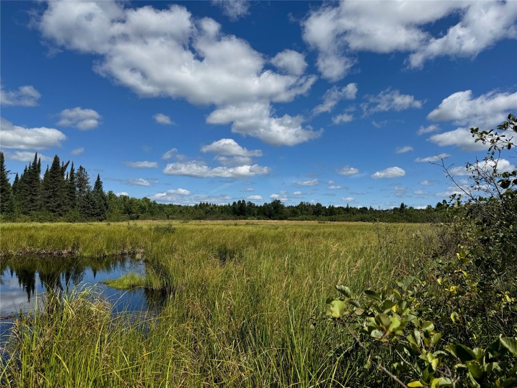 8143 Wright Road, Winter WI 54896 - Land house for sale - MLS #1594262 - image18