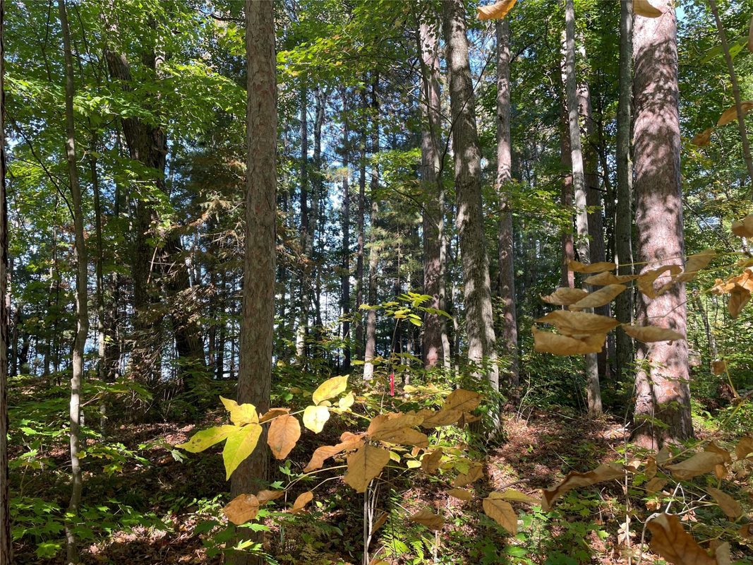 6073 Elsie Road, Stone Lake WI 54876 - Land house for sale - MLS #1602616 - image35