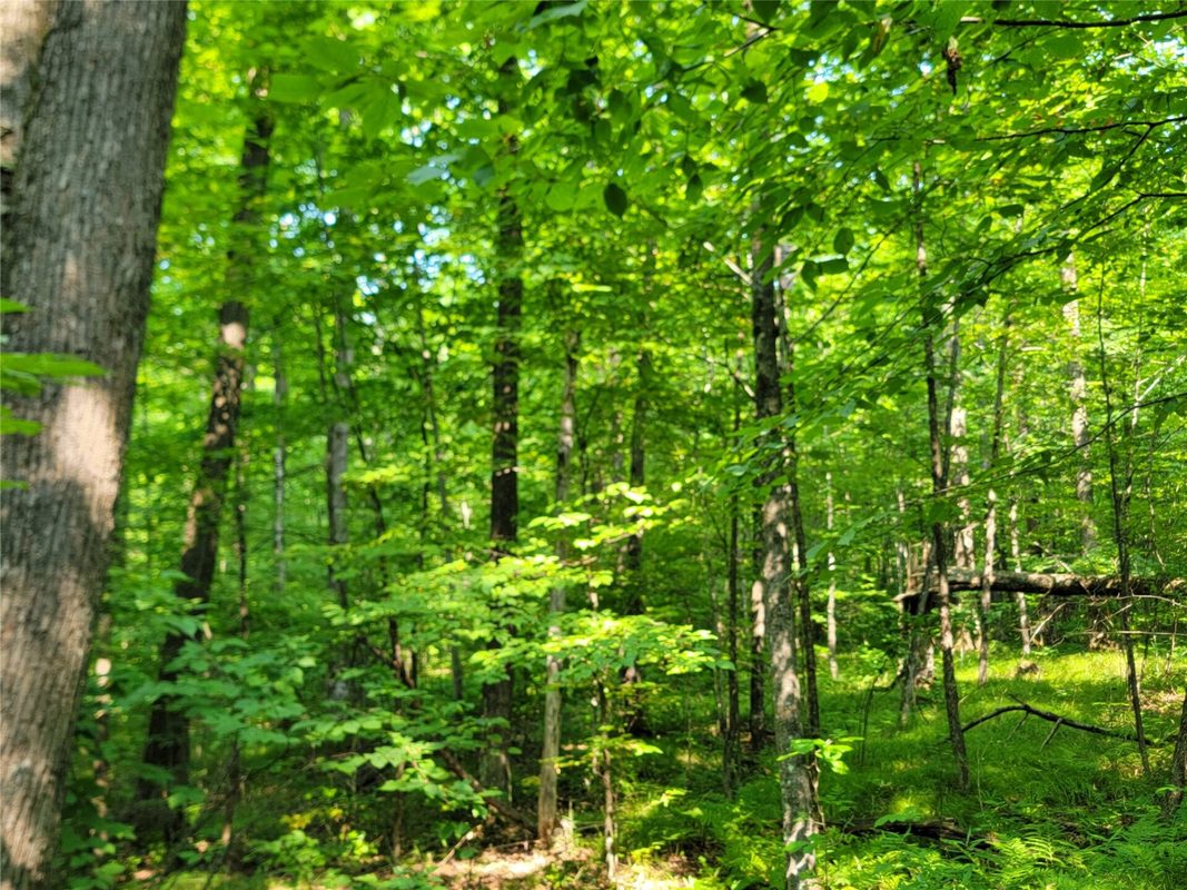 W4427 Spring Road, Prentice WI 54556 - Residential house for sale - MLS #1604416 - image31