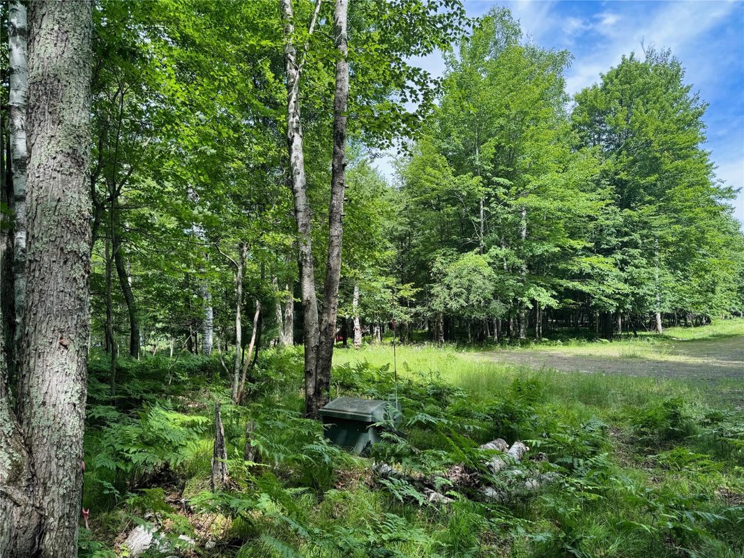 11149 Merganser Lane, Hayward WI 54843 - Land house for sale - MLS #1604672 - image38